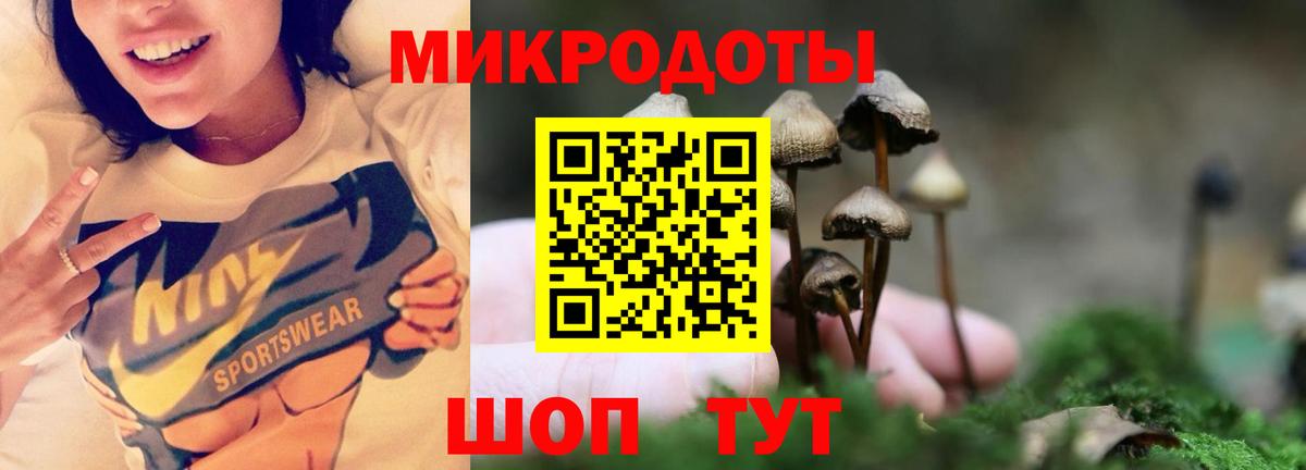 закладки  Галлюциногенные грибы MAGIC MUSHROOMS  Вход с VPN  Жуковский 