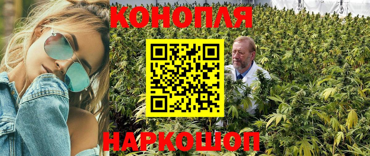 Жуковский  Марихуана THC 21%  Вход с VPN  Конопля тримм  Канабис OG Kush 
